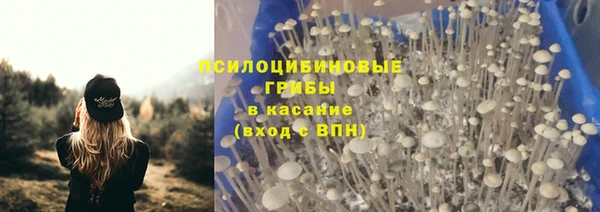 СК Волосово